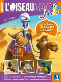 Couverture de l'OISEAU MAG JUNIOR n°47